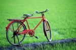 Classic Bicycle In Paddy Field Stock Photo