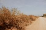 Grassland With Blue Sky Stock Photo