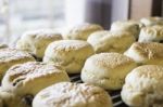 Homemade Fresh Classic Scone For Sale Stock Photo