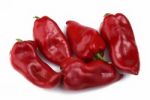 Group of Red Peppers Stock Photo