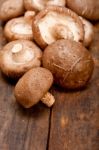 Shiitake Mushrooms Stock Photo