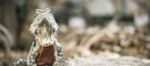 Water Dragon Outside During The Day Stock Photo