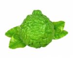 Bergamot Isolated On The White Background Stock Photo