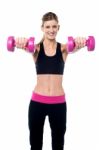 Trainer Holding Dumbbells In Her Outstretched Arms Stock Photo