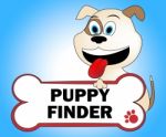 Puppy Finder Means Search For And Canines Stock Photo