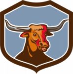 Texas Longhorn Red Bull Shield Retro Stock Photo