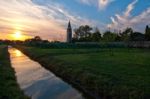 Venice Burano Mazorbo Vineyard Stock Photo