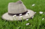 Flowers And Hat Stock Photo