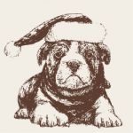 Dog With Santa Claus Hat Hand Drawn Stock Photo