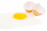 Fresh Egg Stock Photo