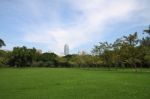 Country Located Skyline Of Public Park Stock Photo