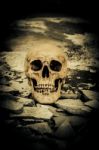 Human Skull On Ruins Place Stock Photo