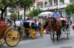 Marbella, Andalucia/spain - July 6 : Horse And Carriage In Marbe Stock Photo