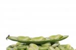 Broad Beans Stock Photo