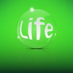 Life Focus Convex Len Stock Photo