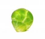 Brussel Sprout Isolated On The White Background Stock Photo