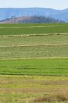 Country Agricultural And Farming Field Stock Photo