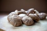 Shiitake Mushroom Stock Photo