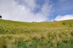 Secret Of Mt. Merbabu Stock Photo