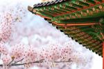 Gyeongbokgung Palace With Cherry Blossom In Spring,korea Stock Photo