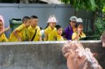 Primary Students Visit The Zoo, In The Jul 27, 2016. Bangkok Thailand Stock Photo