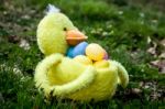 Easter Duck Basket Stock Photo