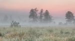 Summer Misty Morning Stock Photo