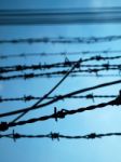 Barbed Wire Stock Photo