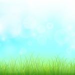 Green Grass Stock Photo