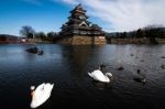 Matsumoto Black Castle Stock Photo