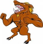 Wild Boar Man Roaring Pumping Chest Cartoon Stock Photo