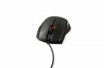 Black Computer Mouse On Isolated White Background Stock Photo