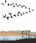 Migrating Wild Geese Over Autumn Landscape Stock Photo
