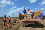 African Farmers Stock Photo