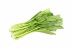 Chinese Mustard Green Vegetable On White Background Stock Photo