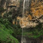 Purlingbrook Falls In Springbrook Stock Photo