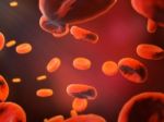 Abstract Red Blood Cells,scientific Or Medical Or Microbiological Background Stock Photo