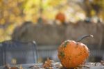 Pumpkins On Table Stock Photo