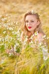 Blond Girl On The Camomile Field Stock Photo