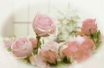 Vintage Valentines Roses Flower Stock Photo