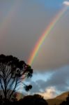 The Rainbow Stock Photo