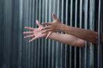 Hand In Jail Stock Photo