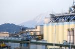 Vegetable Oil Silo Stock Photo