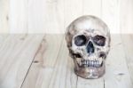 Human Skull On Wood Background Stock Photo