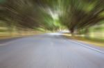 Roads With Tree Tunnel Stock Photo