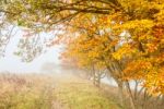 Misty Countryside Stock Photo