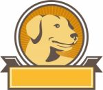 Yellow Labrador Golden Retriever Head Circle Retro Stock Photo