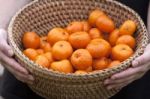 Orange In Basket Stock Photo