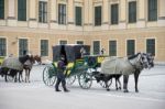 Horse And Carriage At The Schonbrunn Palace In Vienna Stock Photo