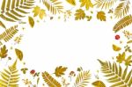 Frame From Yellow Leaves And Dry Leaves And Flower On White Background Stock Photo